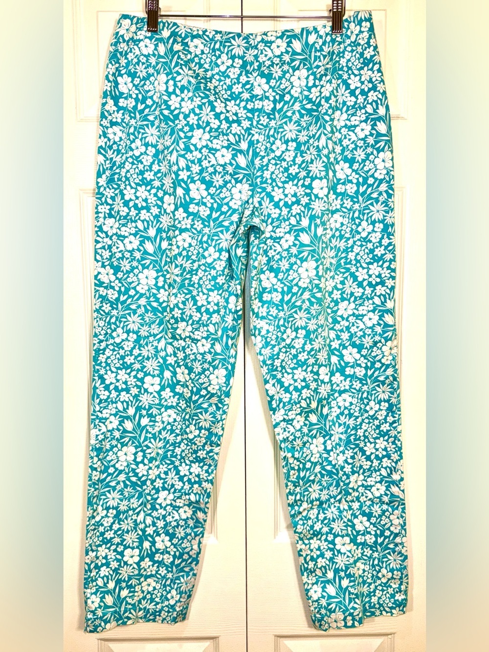 Appleseed’s Floral Print Stretch Ankle Pants Size 12